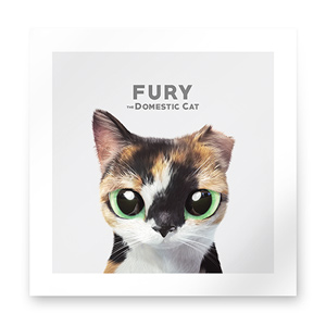 Fury the Stray cat Art Print