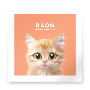 Raon the Kitten Art Print